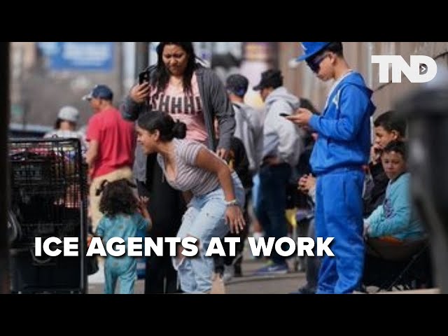 Illegal migrant arrests