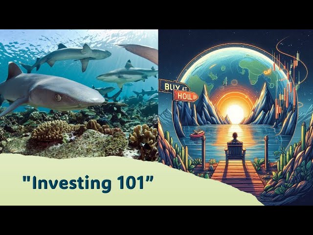 Investment 101: A Beginner's Guide to Fundamental Trading Strategies #TradingTips #SecureInvestment