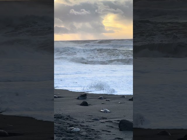 The MOST dangerous ICELAND beach 🌊 #iceland #beach #dangerous #ocean #sea #waves