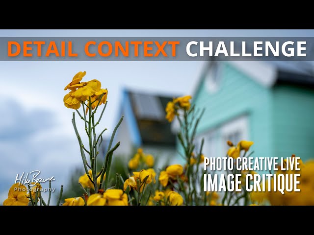 DETAIL In Context Challenge | Photo Creative Feedback LIVE - Mike Browne