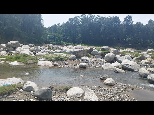 1-Hour Study & Sleep Timer: Calming Water Sounds with Greenery