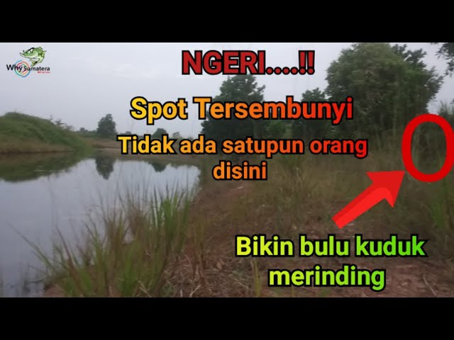 SPOT TERSEMBUNYI SEREM BANGET‼️TIDAK ADA SATUPUN ORANG DISINI | Solo Fishing