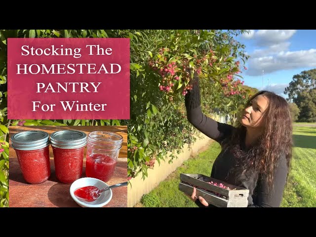 Seasonal Living Late Autumn - Winter / Filling The Homesteader Pantry With Food