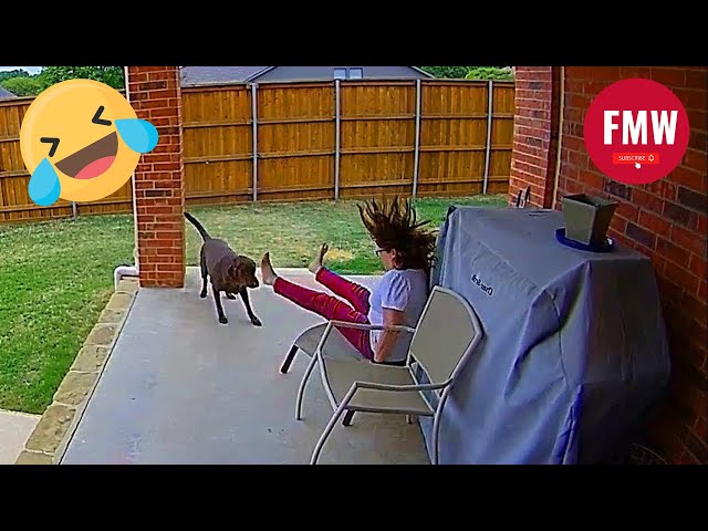 Funny & Hilarious People's Life 😂 #296 | Instant Regret Fails 2025 - Try Not To Laugh Challenge