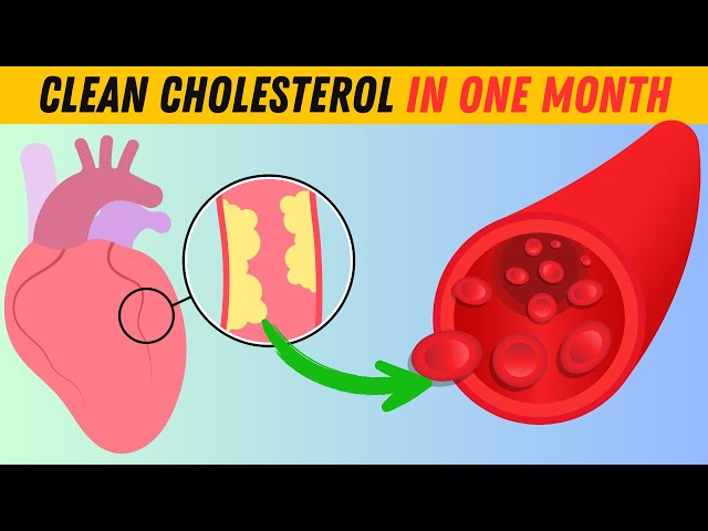 Eat THIS Daily to Drop Your Cholesterol FAST | Healthy Life