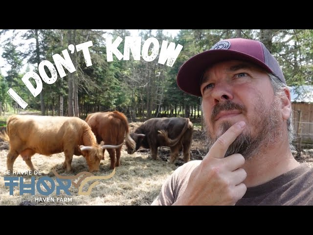 Homesteading: Knowing What You Don't Know