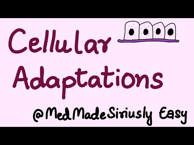 Cellular Adaptations General Pathology