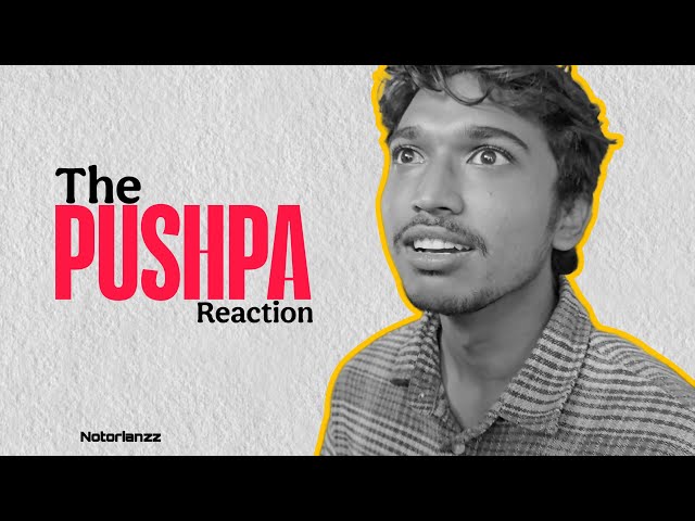 The Movie Evening | Pushpa 2 | Notorianzz