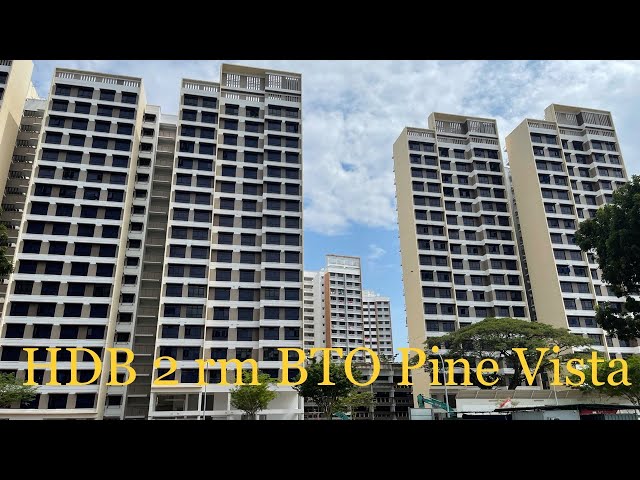 HDB 2 rm BTO Pine Vista - 47 sqm area, actual internal look in 4K UHD video - Part 1