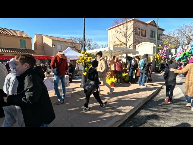 The Mimosa Festival in TANNERON             MOTORBIKE TRIP                  South of FRANCE