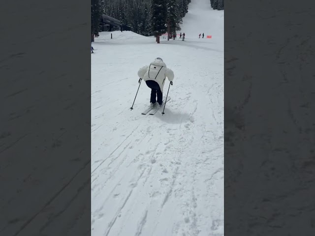 Pro Skier...