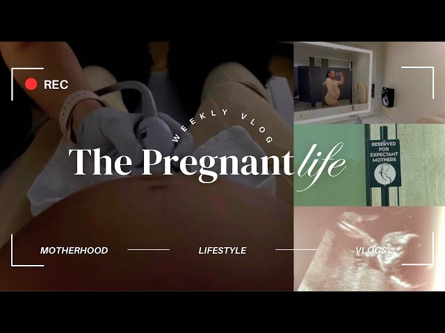 23 WEEKS PREGNANT + ULTRASOUND | INSTACART SHOPPING WHILE PREGNANT ♡