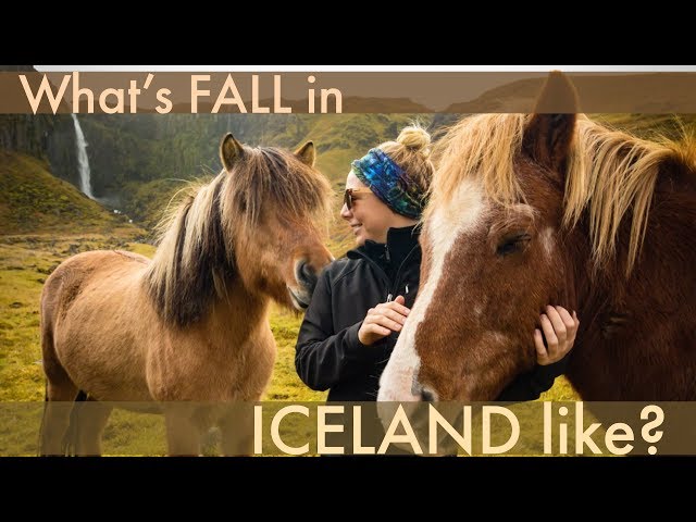 When's the Best Time to Visit Iceland? THIS IS AUTUMN