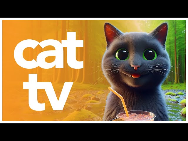 Relax My Cat TV: Bird Watching Adventure Video for Cats to Watch | Outdoor Petflix