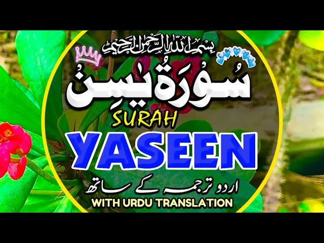 Surah Yasin(Yaseen) | Full With Arabic | Beautiful recitation|یس سورہ 36|000115|edit&pgdinz