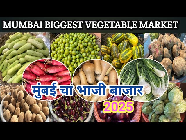 Inside the World’s Largest Vegetable Market