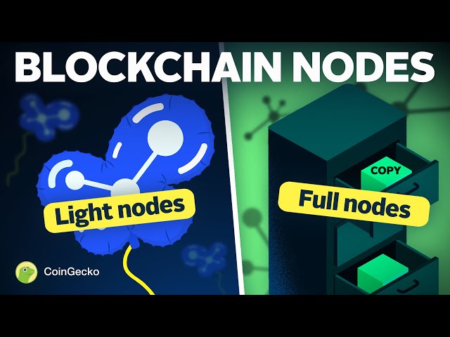 How Do BLOCKCHAIN Nodes Work? Different Types Explained