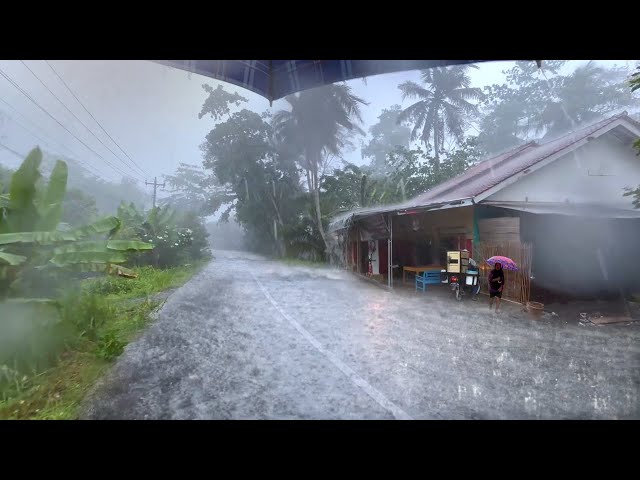 Super heavy RAIN strong Winds,thunderstorms and Keep sounding don't Stop|Very refreshing & soothing