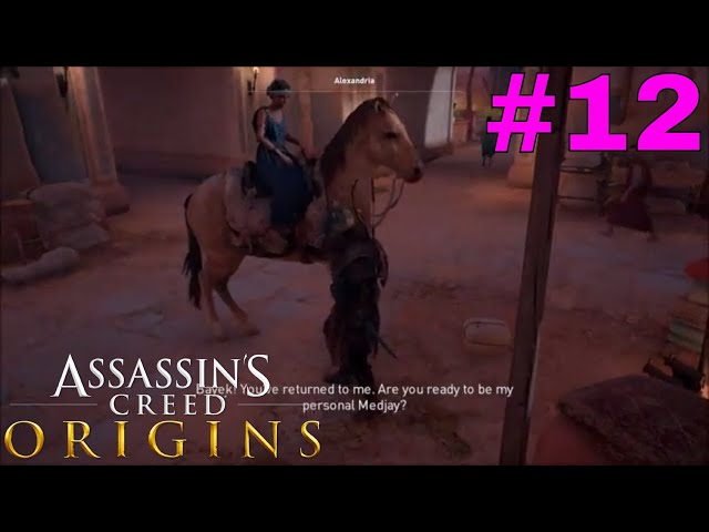 Let's 100% Assassin's Creed Origins  - Part 12 // Kara's Personal Medjay??