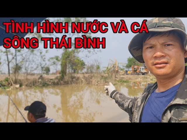 Du lịch bụi và câu cá phát trực tiếp!Tình hình nước và cá sông Thái Bình.