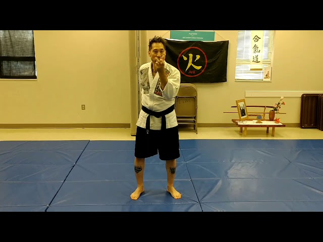 Making Aikido effective series:Arm swing for deflection and eye rake simultaneously