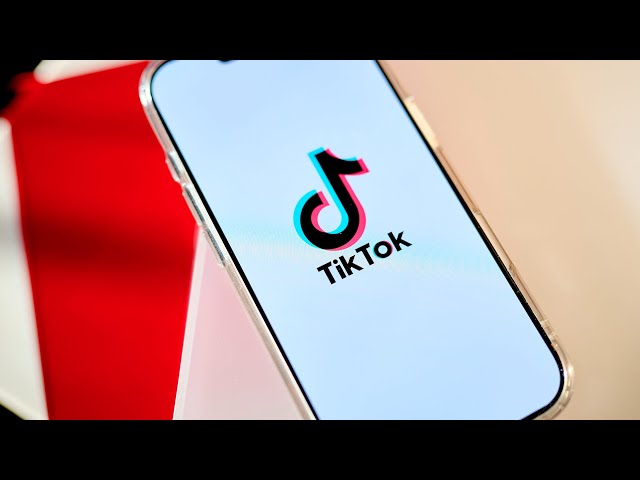 Why TikTok is a 'Political Pop Culture Moment'