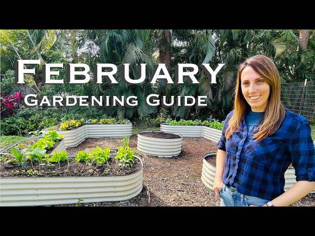 February Garden Guide: The Ultimate Guide to Florida Gardening