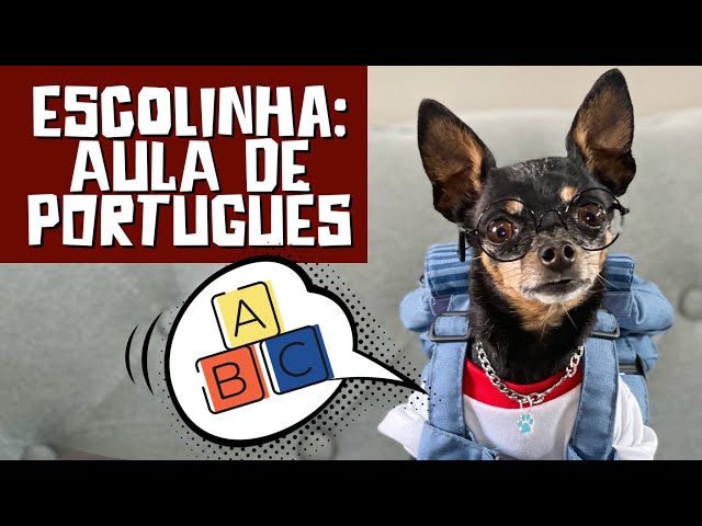 Escolinha dos Pequenos Príncipes - AULAS DE PORTUGUÊS ❤️