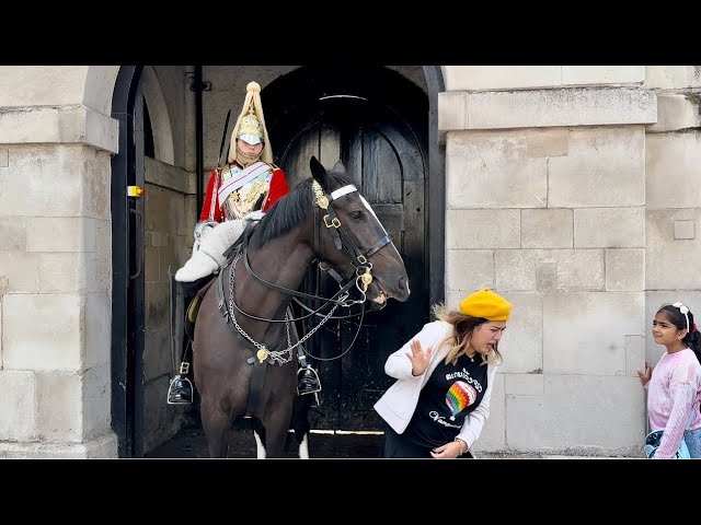 Tourist Silly Mistakes Unsettle Horse: Watch the Chaos Unfold!