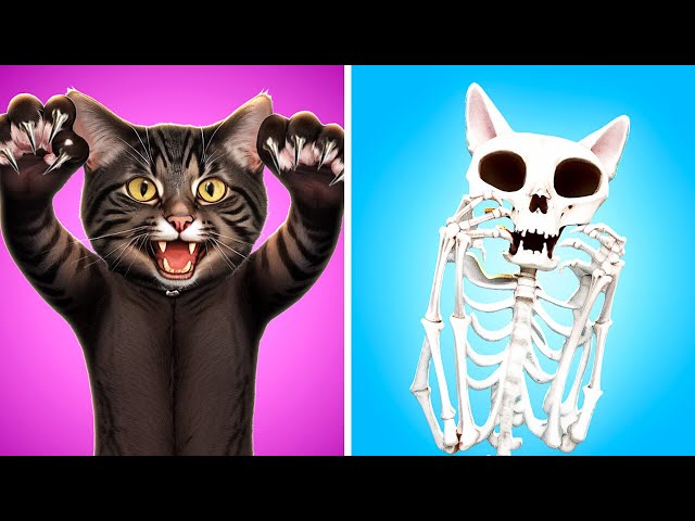 KITTY STORIES 🙀 Meow Tests Viral Gadgets And Makes Fun Crafts