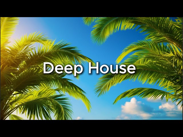 Deep House Mix 2025 | Copyright Free Music For Creators