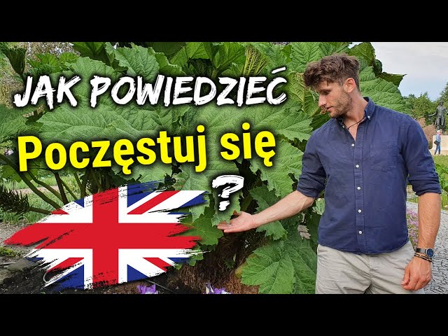 Jak powiedzieć: Poczęstuj się - Zwroty po angielsku