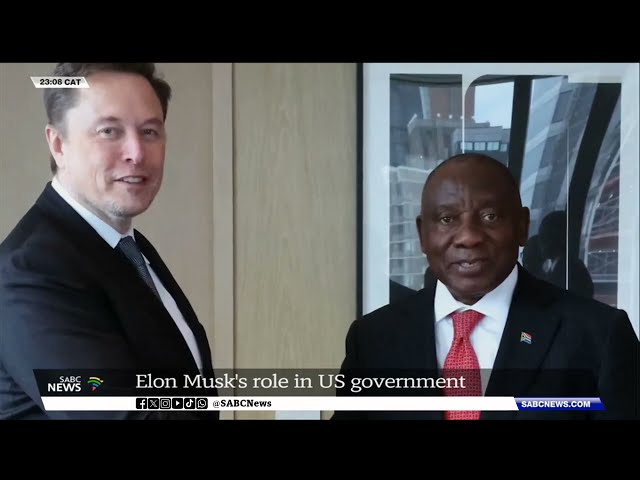 Elon Musk's role in US government