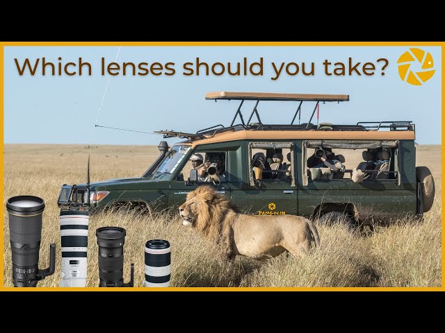 Which lenses should you take on a MASAI MARA Safari?