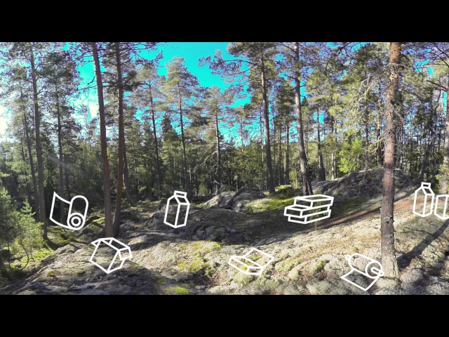 VR tour in Nordic forests part 1: Nordic forests to create a sustainable future