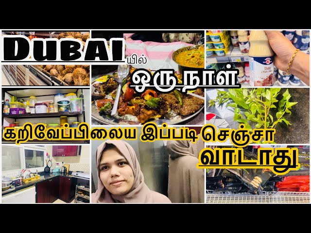 கறிவேப்பிலைய🌿 இப்படி செஞ்சா வாடாது: Dubai ல வீடு fullலா கரப்பான் பூச்சி 🪳~ Dubai DIML ~ Tamil vlog