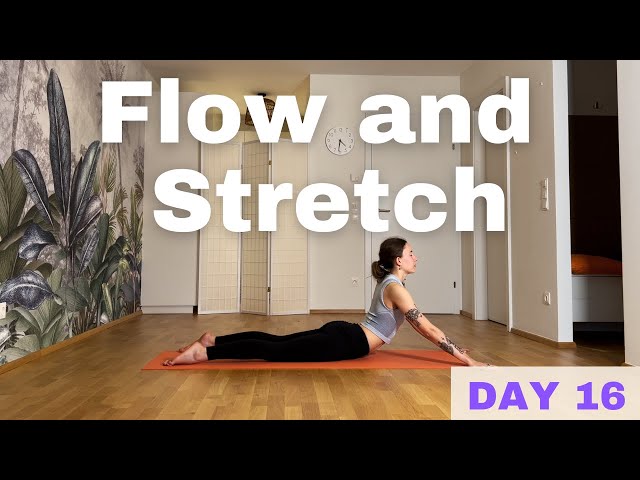 20-Minute Vinyasa Flow & Stretch | All-Level Yoga Practice - Day 16