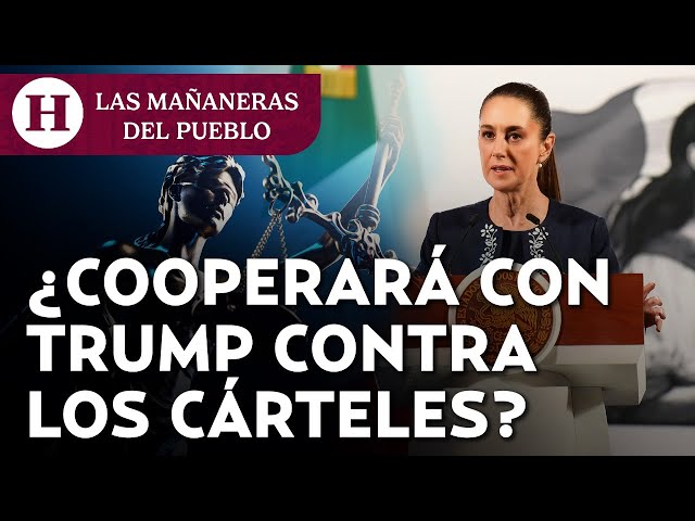 Resumen La Mañanera 24 de enero 2025: Gobierno analizará decreto de Trump sobre cárteles mexicanos