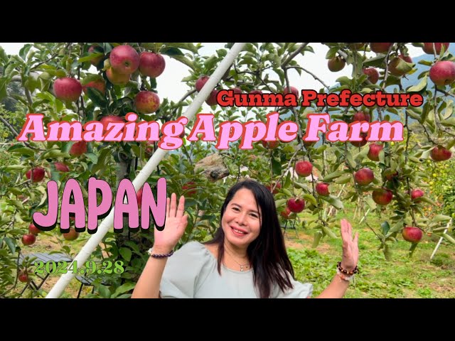 Amazing Apple Farm in Japan.