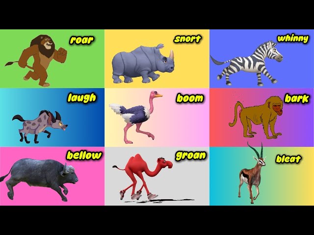 Safari Animal Sounds Song 0205 | Nursery Rhymes | Little Bunny Learns