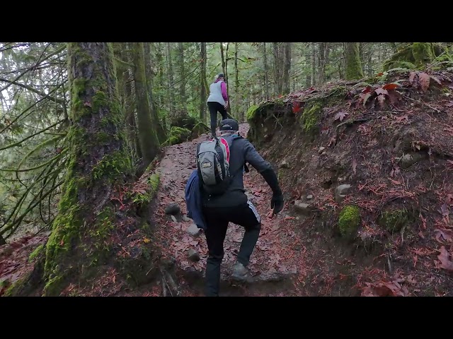 Englishman River crossing a small log walking bridge