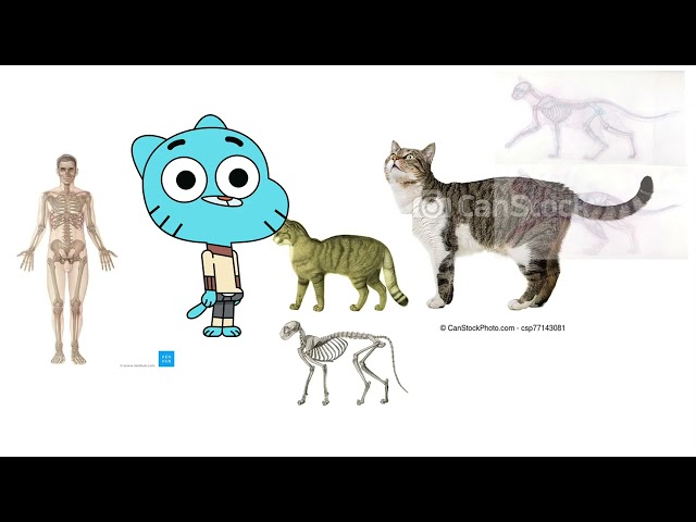 Gumball With Realistic Cat Proportions