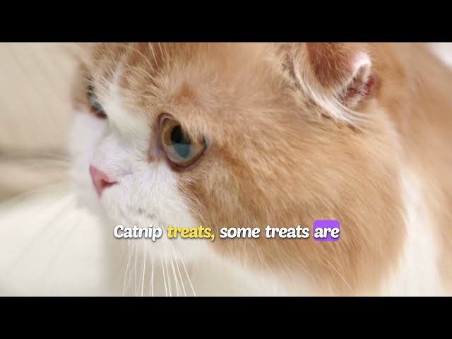 cat healthy treats