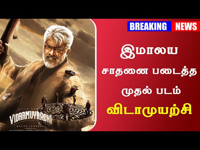 BREAKING : இமாலய சாதனை படைத்த முதல் படம் விடாமுயற்சி  |  Vidaamuyarchi Highest Record | Ajith Kumar