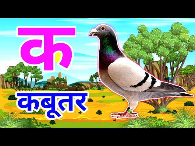 K for Kabootar 🕊️ | ABCD Learning | Fun Alphabet Song for Kids | #aayatalaika