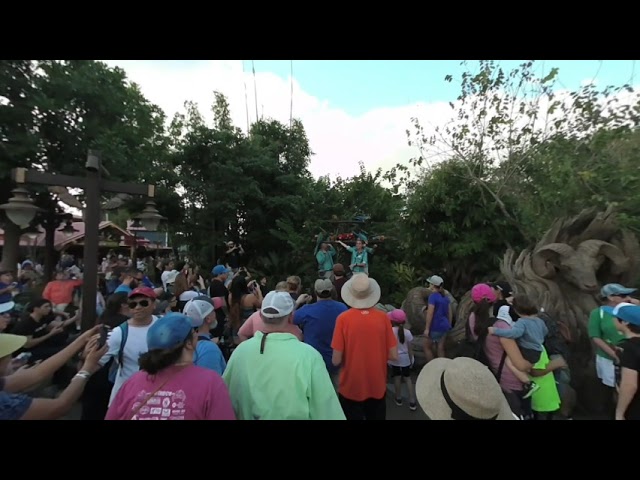 Animal Kingdom's "Winged Encounters": Ending Moments (VR180)