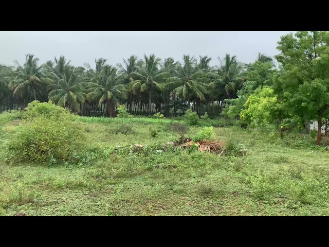 RAIN| மழை |4K | [2021] | Music Vibes |