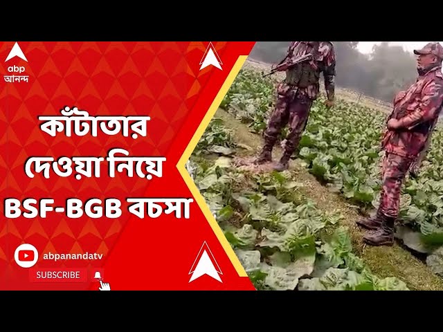 Bangladesh News : সীমান্তে ফের বাংলাদেশের উসকানি ! কাঁটাতার দেওয়া নিয়ে BSF-BGB বচসা