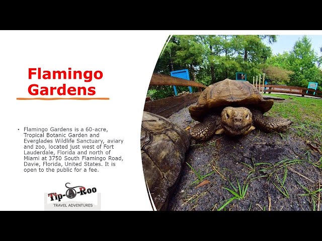 Flamingo Gardens Tour VR360