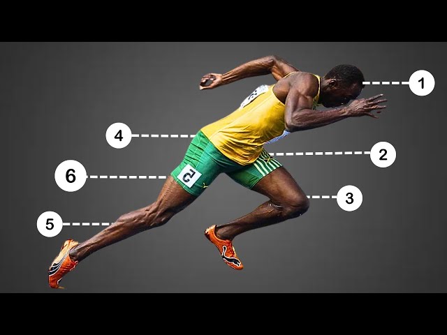 The Most Important Muscle To Sprint Faster